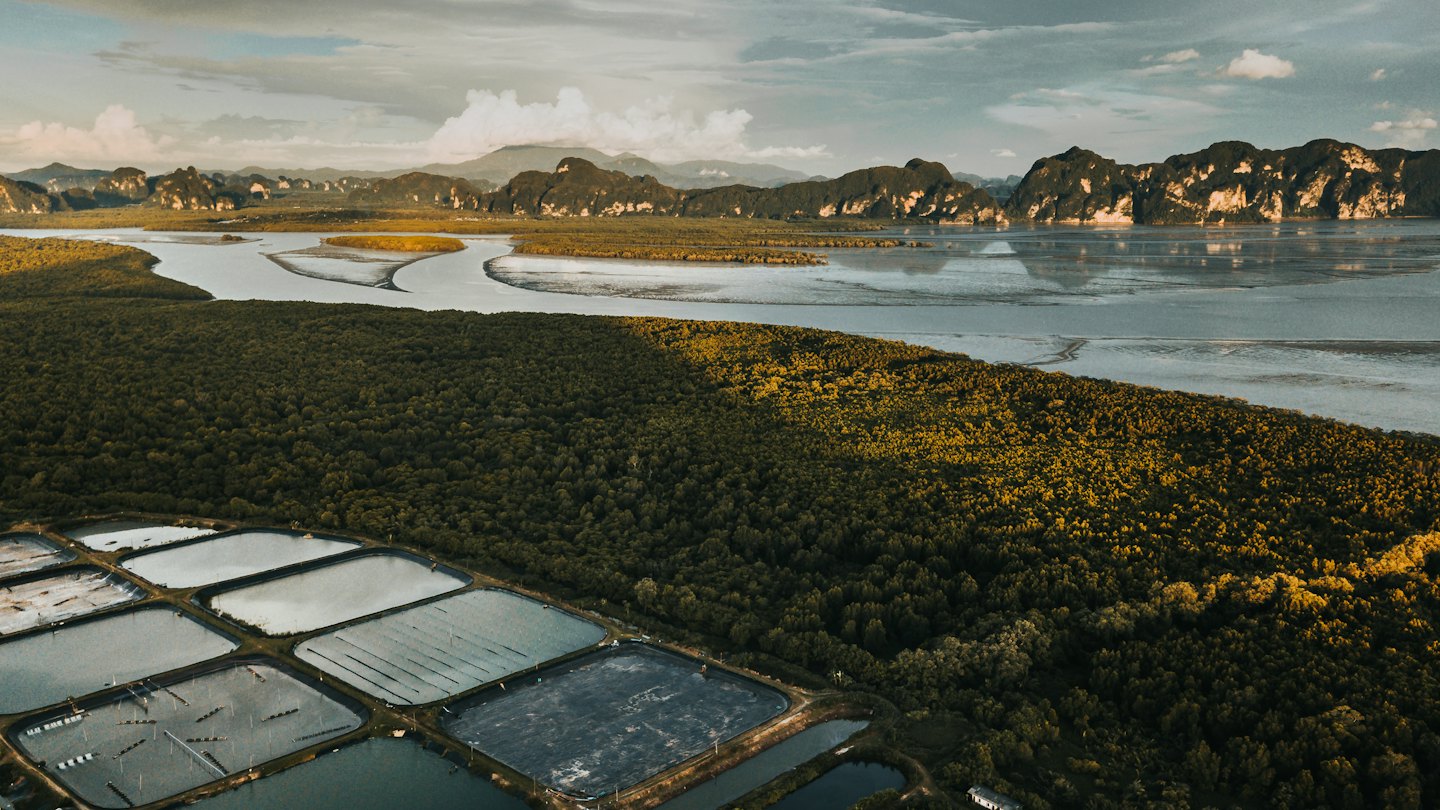 Aerial view of coastal aquaculture ponds near a mangrove forest and river.
