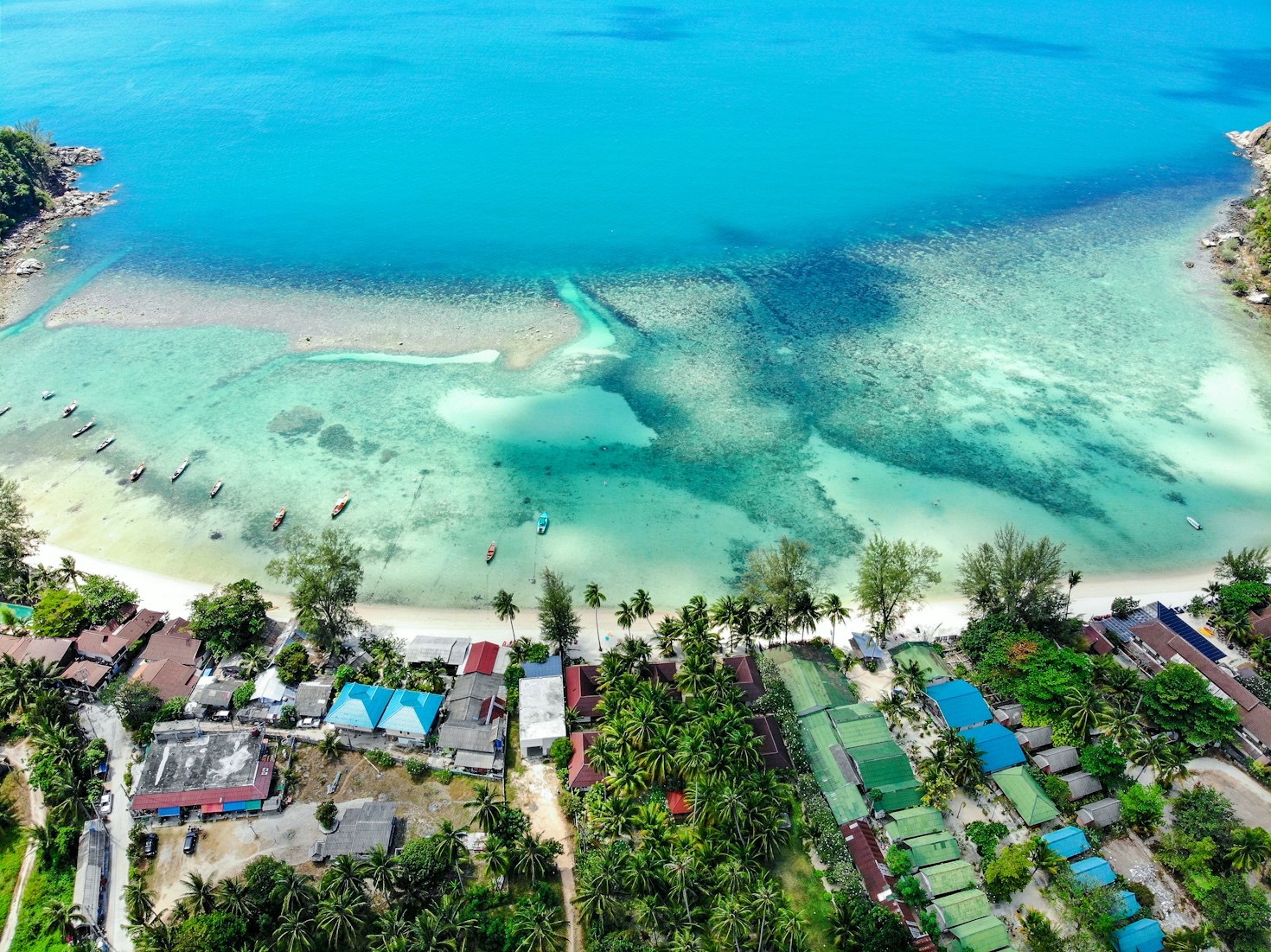 The Role of Local Non-Profits in Preserving Coastlines